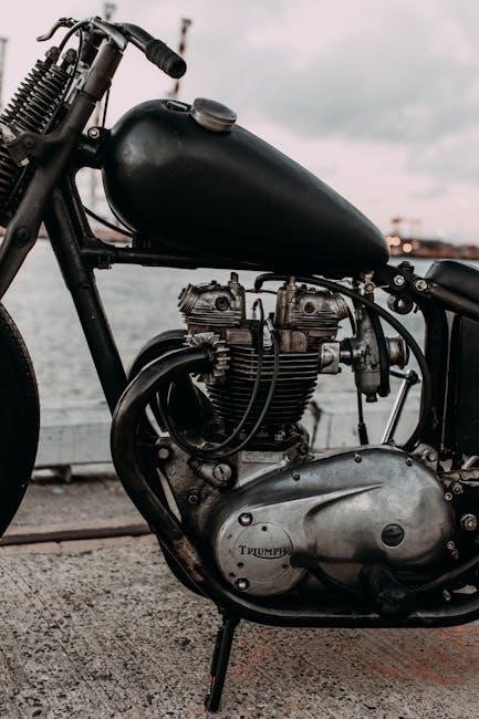 cobra ltd 29 classic manual