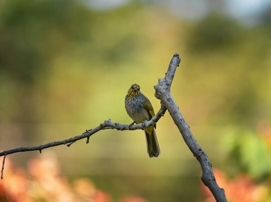 just for the summer pdf free download